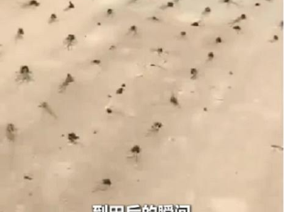 太荒吞天决最新免费阅读全部,逆天改命，踏碎虚空，成就无上霸业！