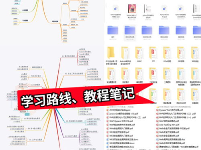 天眼查询系统病毒,恶意代码剖析与防范策略