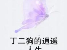 丁二狗的逍遥人生未删减下载,未删减版独家下载全解析