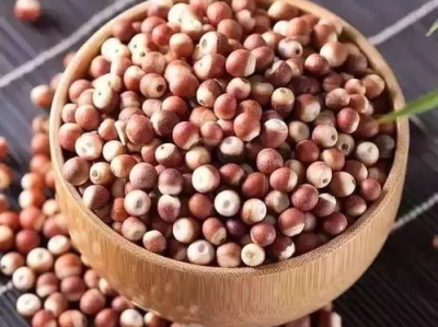 《耳鬓厮磨》作者:茶红小豆,茶红小豆笔下的爱情诗篇