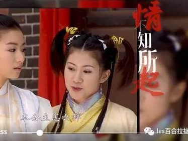 公主钓个女驸马,一段跨越身份的浪漫传奇