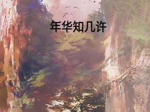 主角花城连城读书,书海遨游，探寻智慧之旅