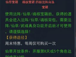 从斗罗开始开宝箱,宝箱开启，神秘宝藏等你探索