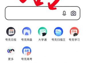 夸克在线观看资源,在线观看资源深度解析