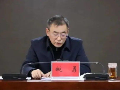 县委书记夫人芳草地免费阅读,县委书记夫人免费阅读背后的故事