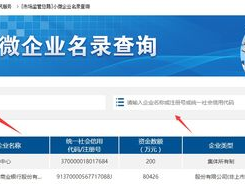企业查询,揭秘企业实力与潜力