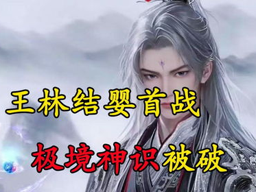 仙逆王林第一次,仙逆王林初入修仙界