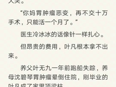 医婿叶凡,跨界奇才,医术与爱情的双重挑战